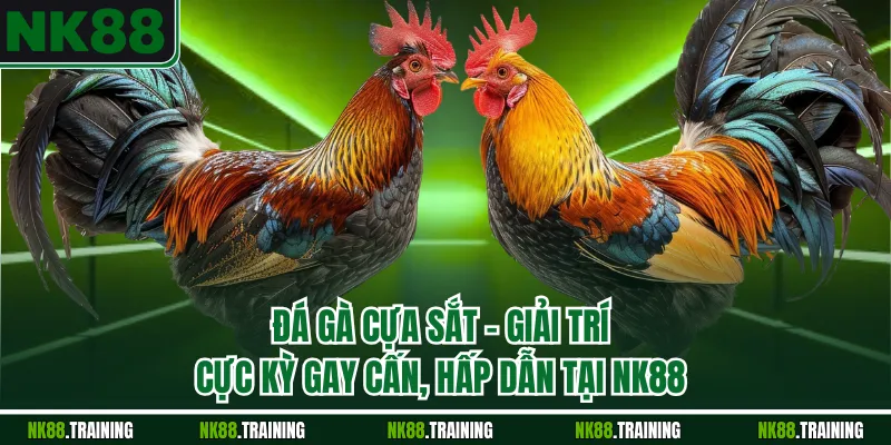 Đá Gà Cựa Sắt – Giải Trí Cực Kỳ Gay Cấn, Hấp Dẫn Tại NK88